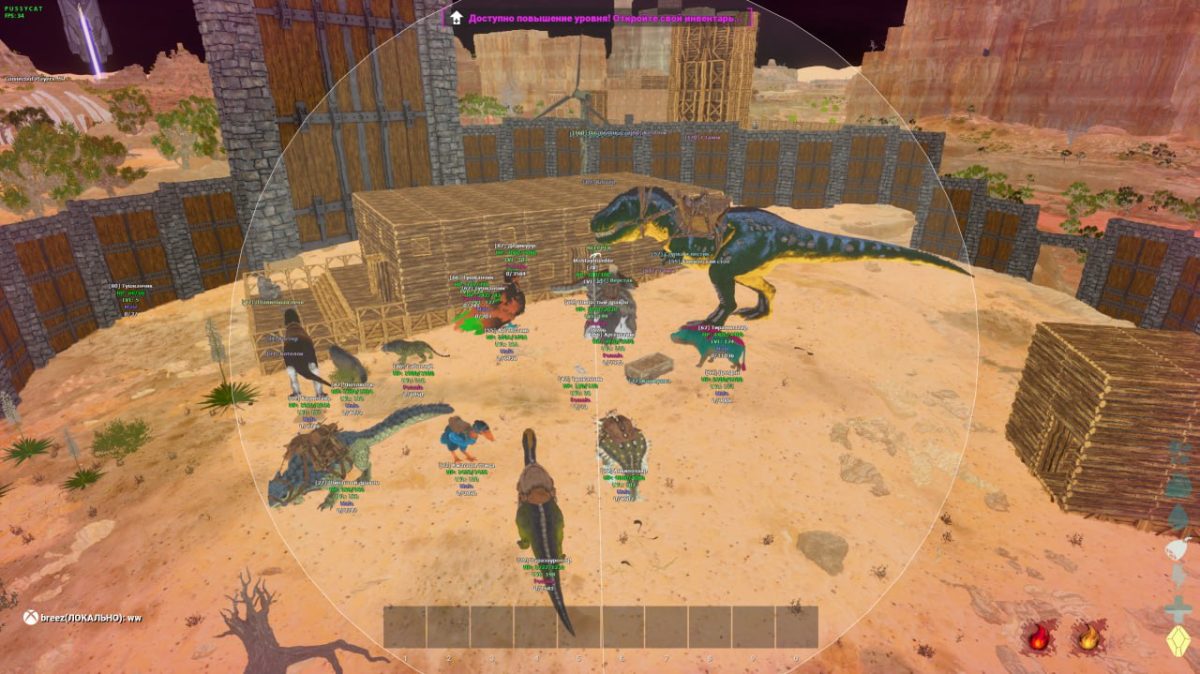 puusy ARK U69b1